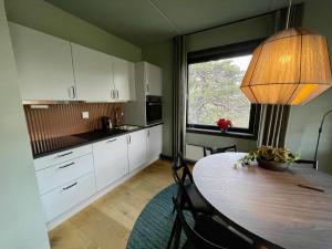 Kuchyň nebo kuchyňský kout v ubytování Gausta View Boutique Hostel
