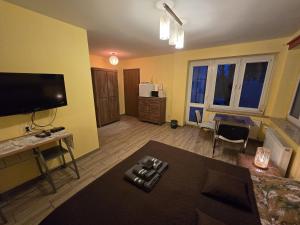 Televízia a/alebo spoločenská miestnosť v ubytovaní Apartamenty Pokoje DreamZone