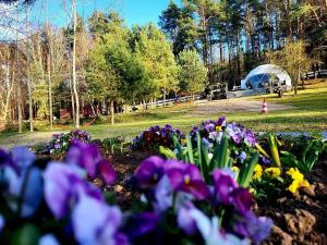 a garden of flowers in a park with a dome at Glamping pod Orłem in Cedynia