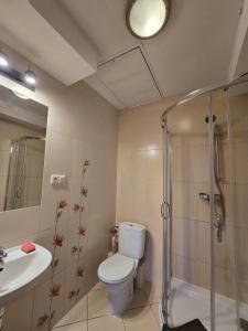 Kúpeľňa v ubytovaní Apartamenty Pokoje DreamZone