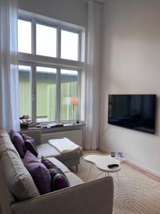 TV a/nebo společenská místnost v ubytování Lomma Harbour Apartment