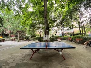 a ping pong table in front of a tree at Nicer Family in Leshan