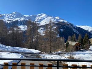 Afbeelding uit fotogalerij van New high standing chalet in La Sage +22 foto's