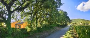 a road with a yellow house and trees on the side at Lou Cigalou - Au Calme - Grand Jardin - Piscine Partagée - Parking - Campagne et Idéalement Situé Proche A7 et Montélimar in Sauzet