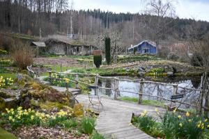 a garden with a pond and a blue house at Chez Dom & Oli camping GINA PARK in Granges-Aumontzey