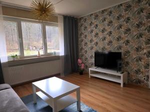 a living room with a flat screen tv and a table at Marburg Apartment feuriger Felix mit Kamin und Garten in ruhiger Waldrandlage in Marburg an der Lahn