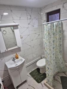 a bathroom with a toilet and a shower curtain at Cozy Central Studio - Dile in Žabljak