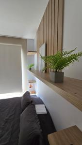 a bedroom with a couch and a plant on a shelf at San Martin 265 - Rosario de la Frontera in Rosario de la Frontera