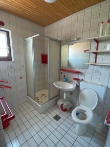 un bagno con un water e un lavandino di Ferienhaus Soline a Soline Altre 24 foto