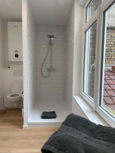 a bathroom with a shower with a toilet and a window at Appartement standing 500m de la plage ! in Dunkerque