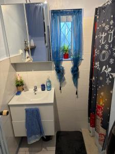 a bathroom with a sink and a mirror at Chez Tiina in Colmar