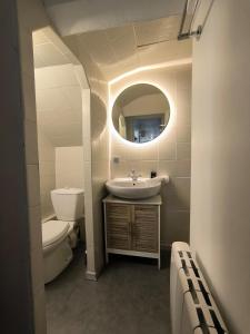 ポーにあるCentre ville Spacieux Quartier animéの洗面台、トイレ、鏡のあるバスルーム
