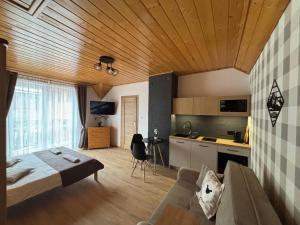 什恰夫尼察Pokoje Gościnne WIKTORIA的一间厨房和一间带沙发和桌子的客厅