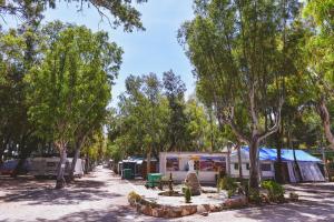 Zahrada ubytování Camping Torrenostra