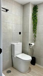 a bathroom with a toilet and a plant on the wall at Maravilloso Apto en el Pantano de San Juan in San Martín de Valdeiglesias +24 photos