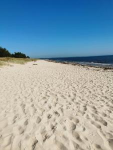 Příroda nedaleko prázdninového domu + 7 fotografií