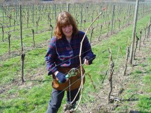 Hosté ubytování Weingut u. Gästehaus Menten