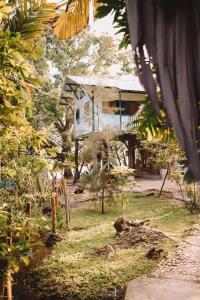 Coco Bamboo Beach Camp外面的花园