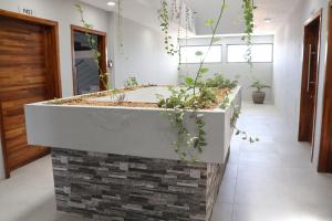Fotografie z fotogalerie ubytování Ocean Bliss Penthouse - Private Pool & 2 Min to Beach v destinaci Flic-en-Flac