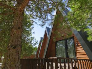 ein Haus mit einem Baum davor in der Unterkunft Courela do Moinho in Ciborro