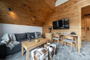 Televízia a/alebo spoločenská miestnosť v ubytovaní Hotel Litworowy Staw