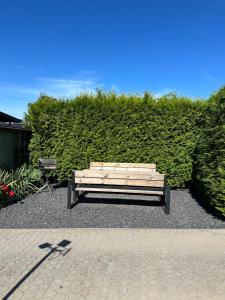 En have udenfor Domki Wakacyjne Rybak + 2 billeder