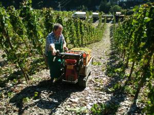 Hosté ubytování Weingut u. Gästehaus Menten