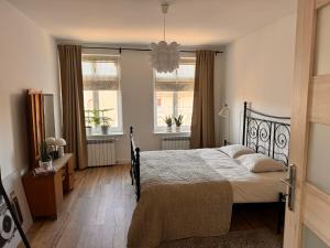 a bedroom with a bed and two windows at Apartament Tuchola in Tuchola