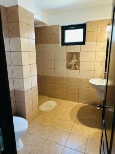 a bathroom with a toilet and a sink at Casa Valea Cernei in Isverna +36 photos