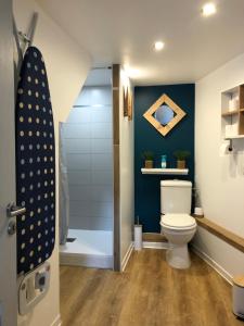 a bathroom with a toilet and a shower at Gîte Chez Mathilde - hébergement de charme alliant cachet et modernité à 5 minutes de Colmar in Sainte-Croix-en-Plaine +13 photos