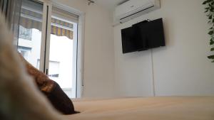a room with a tv and a bed and a window at Apartamento Altea Centro in Altea