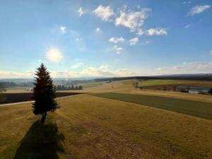 a tree in the middle of a field at Schwarzwald Apartment in Löffingen