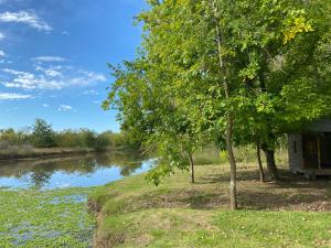 a house next to a river with a tree at Descanso en el Bosque in Brandsen