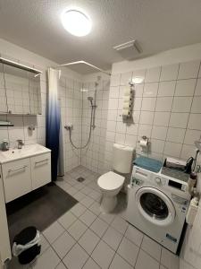 Un baño con lavadora y un inodoro. en Erfurt City -Schildchensmühle, en Erfurt 34 fotos más