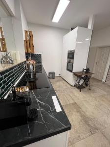a kitchen with a black counter top in a room at To&To Apartments Studio in Stuttgart