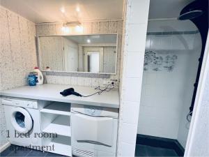 a bathroom with a washing machine and a sink at Ferienhaus am Elberadweg mit Sauna & Kamin - Natur, Erholung & S-Bahn-Anbindung - Saxon Oase in Pirna +43 photos