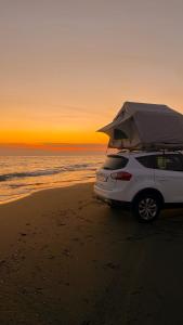 a white car parked on the beach with an umbrella at car camping rental in Shkodër