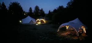 two tents with lights in a field at night at Koppány Pines - Bell Tent B & B Rooms in Koppányszántó