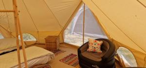 a tent with a chair in front of a window at Koppány Pines - Bell Tent B & B Rooms in Koppányszántó