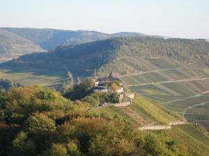 Příroda nedaleko bed and breakfast