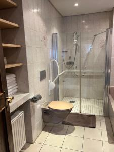 a bathroom with a shower and a toilet and a glass shower at Ferienhaus am Rhein Koblenz in Koblenz