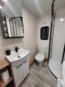un bagno con lavandino, WC e specchio di Parkcity SPA Domek z jacuzzi w Parku Śląskim a Katowice