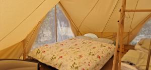 Φωτογραφία από το άλμπουμ του Koppány Pines Rewild Escapes - Wild Bell Tents σε Koppányszántó +18 φωτογραφίες