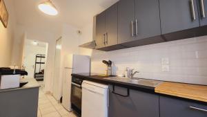 una cocina con fregadero y refrigerador en Le Gabrielle-Charmant Appartement-Parking, en Rouen