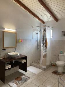 a bathroom with a shower and a sink and a toilet at Gîte Le Géranium in Deshaies