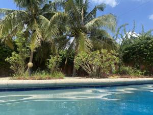 a swimming pool with palm trees in the background at La Villa Tila in Warang