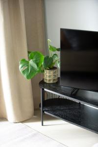 a plant sitting on a table next to a television at Neliapila Charm in Kokkola +8 photos