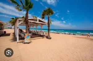einen Strand mit einem Pavillon, Palmen und dem Meer in der Unterkunft Vista Mar Torrevieja in Torrevieja
