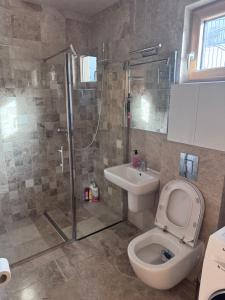 a bathroom with a shower and a toilet and a sink at Apartman Ari in Sveti Stefan