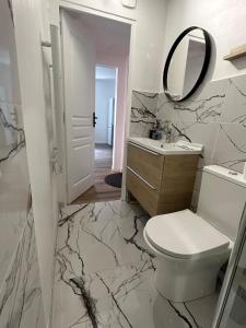un bagno con un water, un lavandino e uno specchio di Charmant appartement au cœur de Montrond a Montrond-les-Bains Altre 2 foto